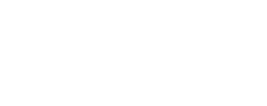light logo